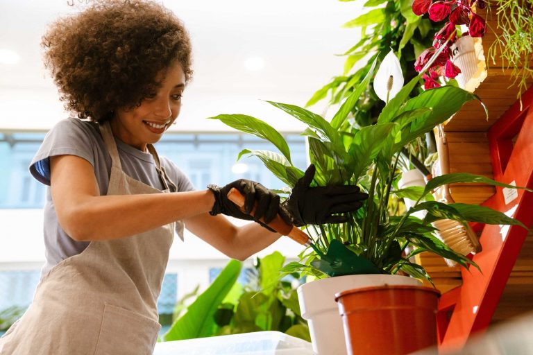 Mastering Indoor Light